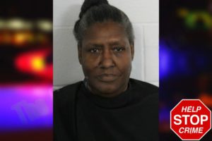 Melisa Turner mugshot