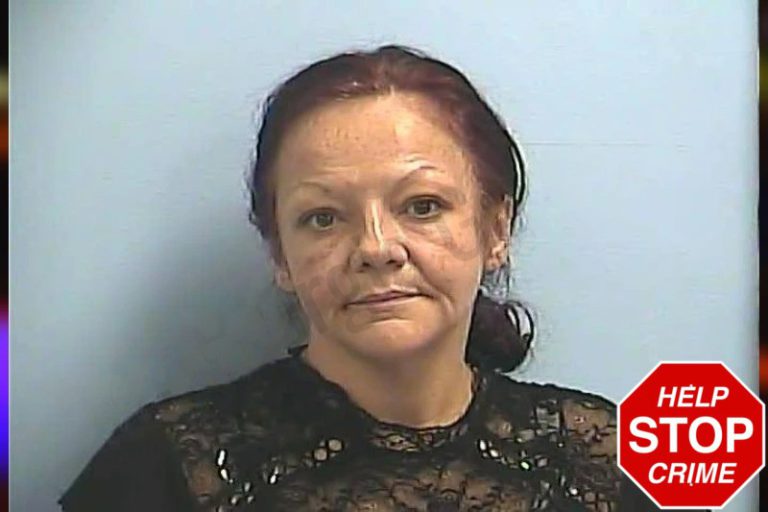 Melissa Bennett mugshot – Dawson County , Georgia Melissa Bennett