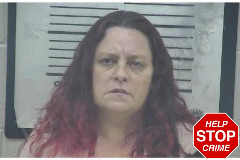 Melissa Bush mugshot