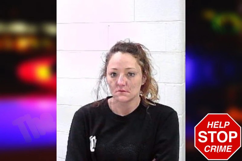 Melissa Chaffin mugshot