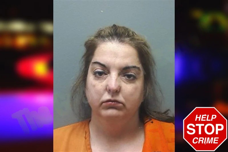 Melissa Ertel Mugshots