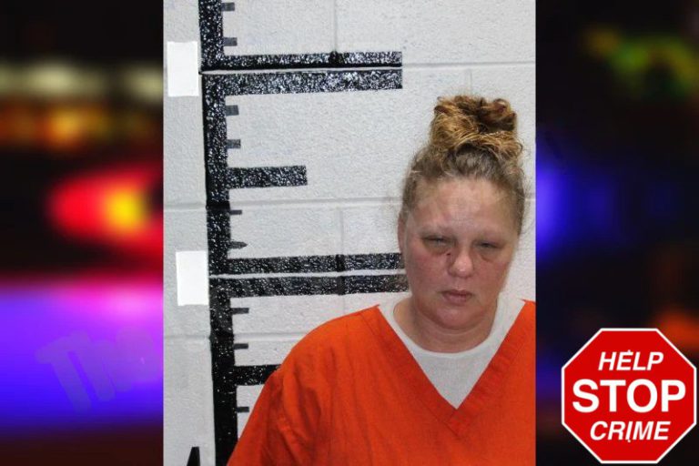 Melissa Holmes mugshot – Murray County , Georgia Melissa Holmes