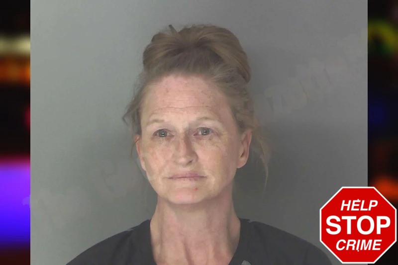 Melissa Howell mugshot
