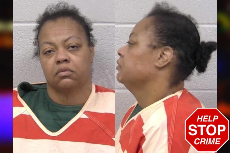 Melissa James Mugshots