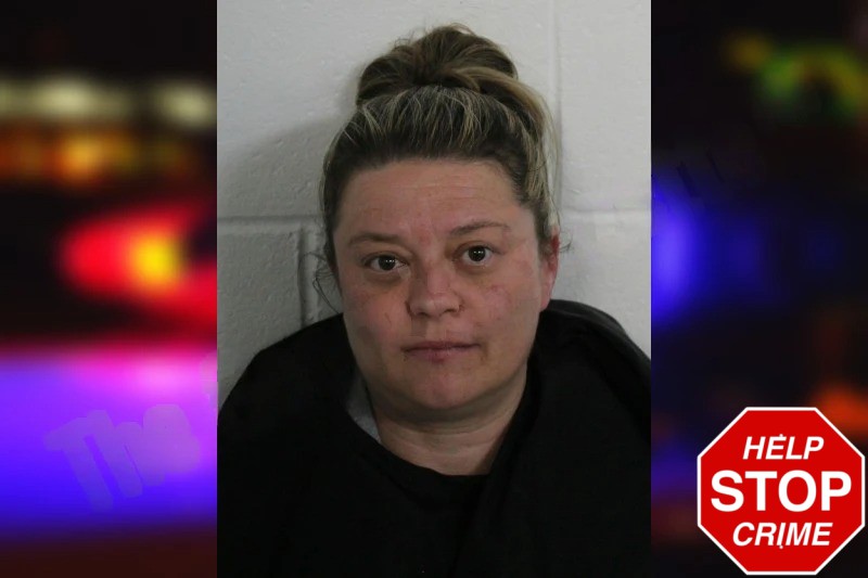 Melissa Shirley Mugshots