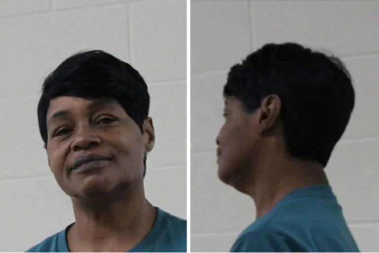 Melissa Taylor mugshot – Houston County , Georgia Melissa Taylor