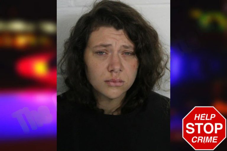 Melissa Wyatt mugshot – Floyd County , Georgia Melissa Wyatt