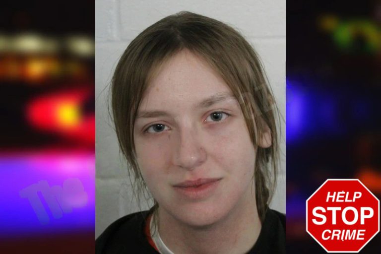 Melody Long mugshot – Floyd County , Georgia Melody Long