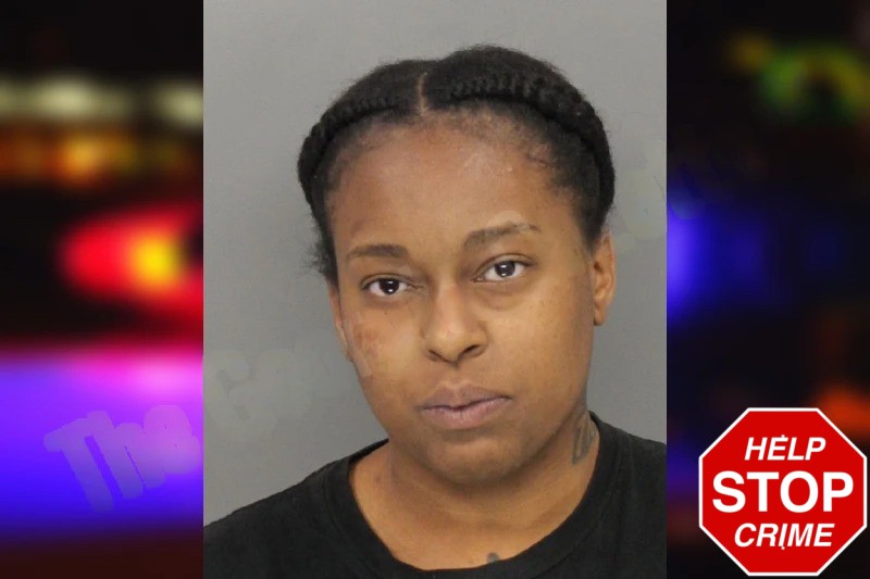 Memori Collins Mugshots