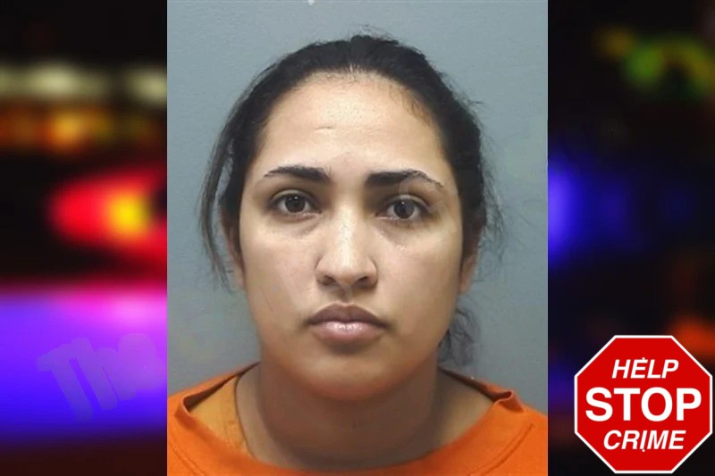 Meryelin Hernandez Mugshots