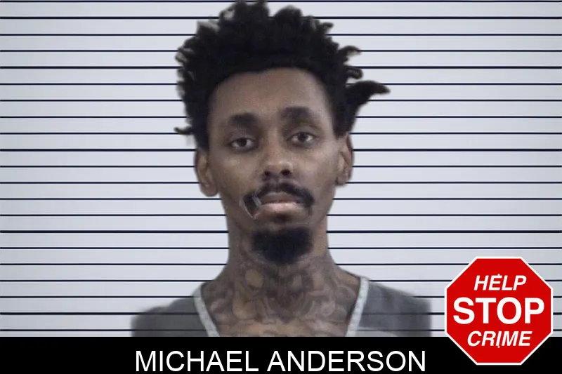 Michael Anderson Mugshots