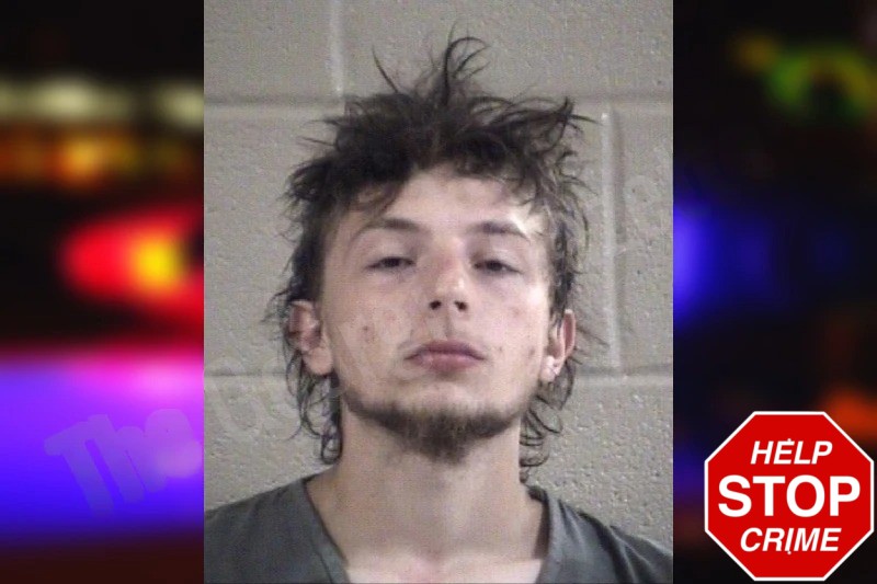 Michael Blevins Mugshots