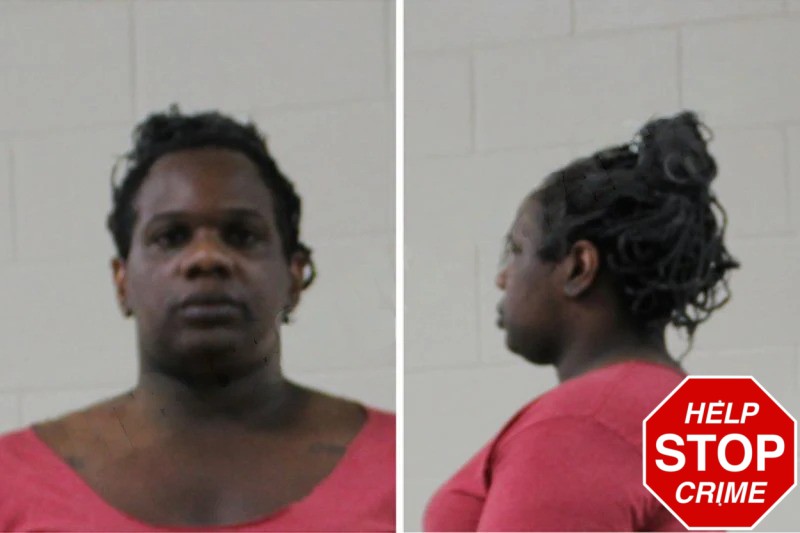 Michael Freeman Mugshots