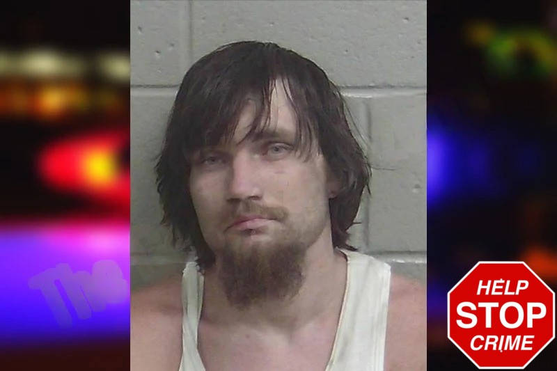 Michael Lightcap mugshot – Wayne County , Georgia Michael Lightcap mugshot