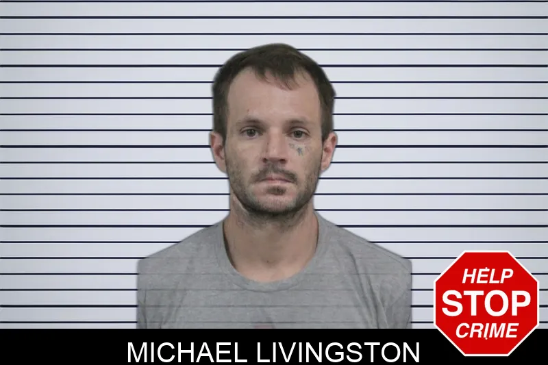Michael Livingston Mugshots