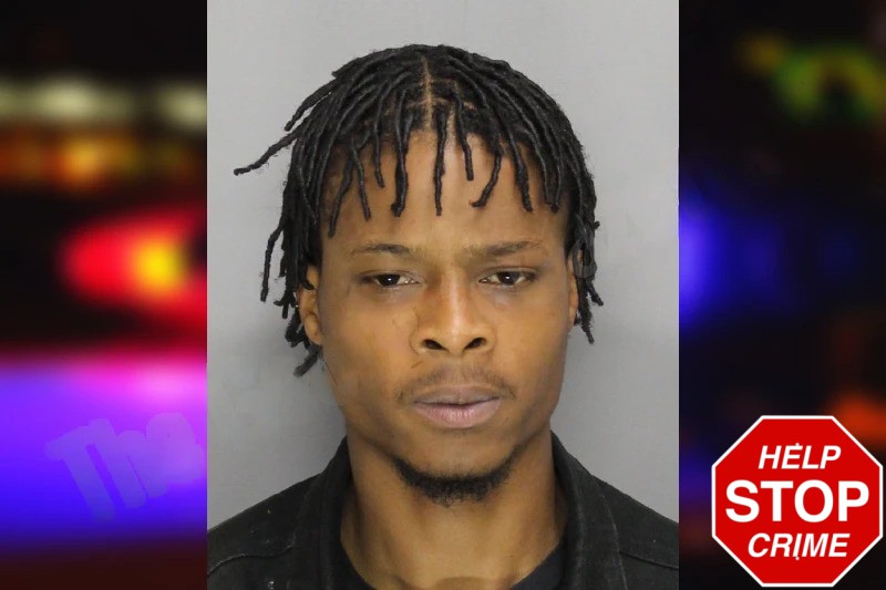 Michael Robertson mugshot