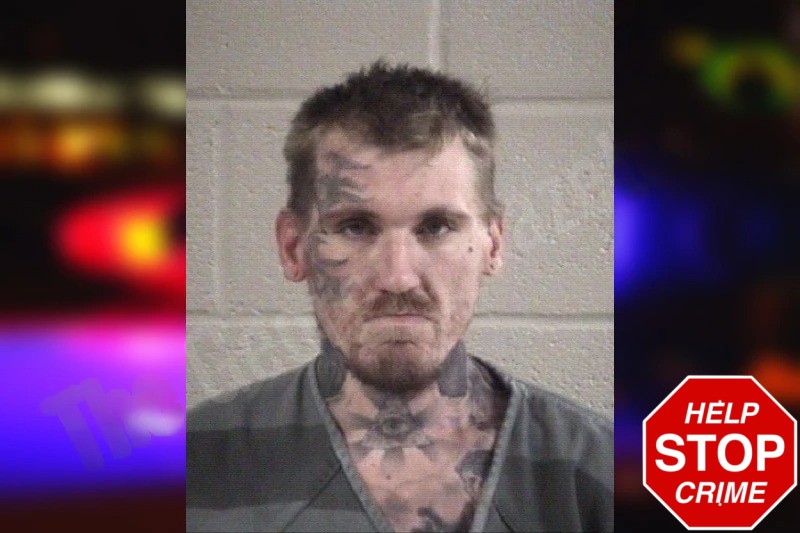 Michael Stout Mugshots