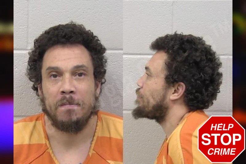 Michael Wallace Mugshots