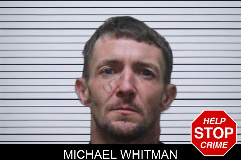 Michael Whitman Mugshots