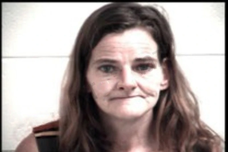 Michele Chambers Mugshots