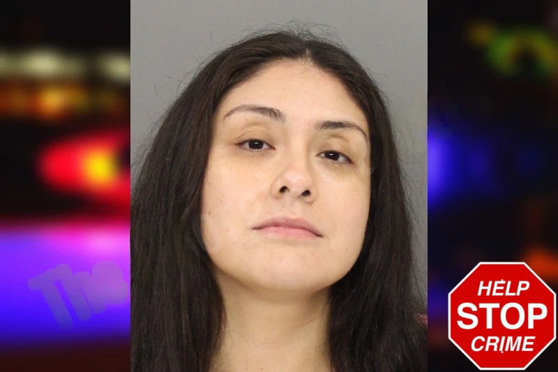 Michele Encisco mugshot