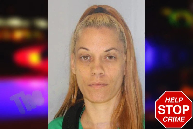 Michele Olivio Mugshots