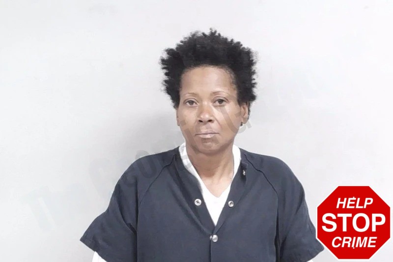 Michele Williams mugshot