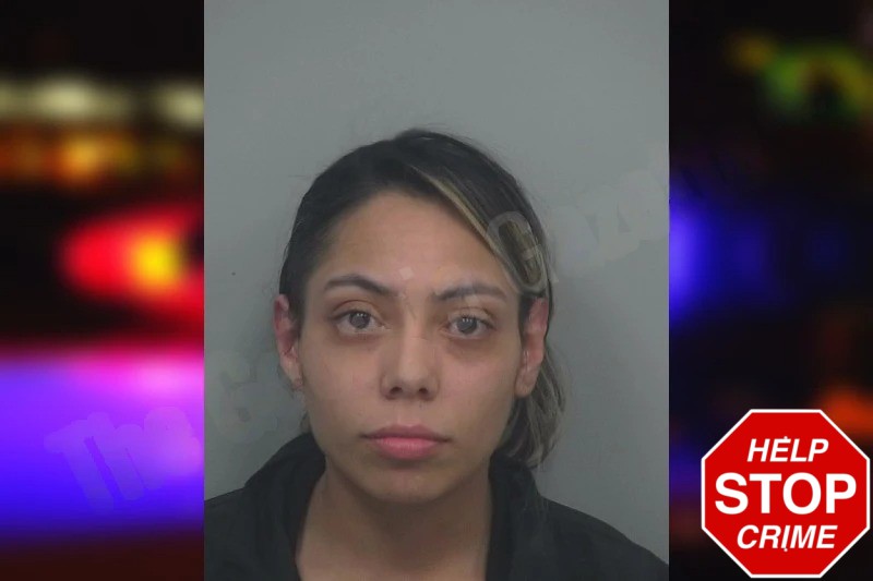 Michelle Deanda Campos mugshot