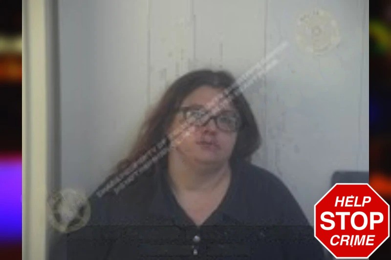 Michelle Hamilton Mugshots