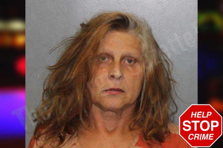 Michelle Loggins mugshot – White County , Georgia Michelle Loggins