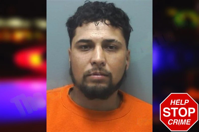 Michelle Mora Garcia Mugshots