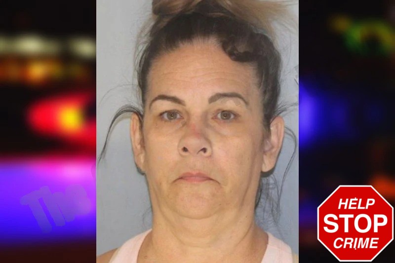 Michelle Vasquez Mugshots