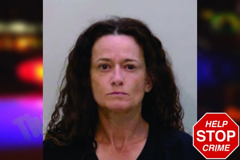 Michelle Vincent mugshot – Bartow County , Georgia Michelle Vincent mugshot