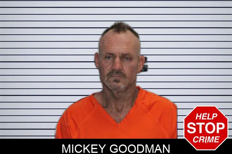 Mickey Goodman Mugshots