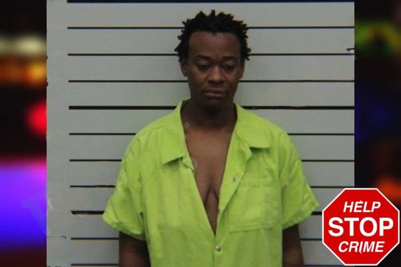 Miesha Stubbins Mugshots