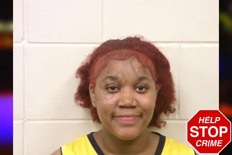 Mikayla Hill Mugshots