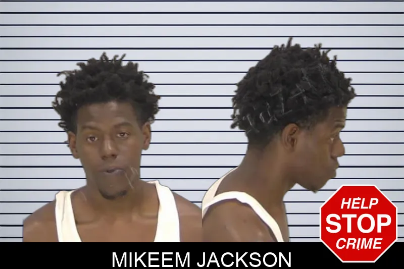 Mikeem Jackson Mugshots
