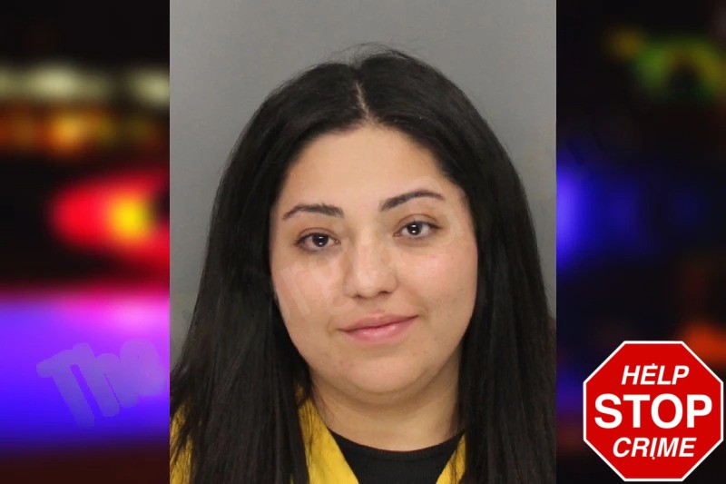 Milagros Rodriguez Mugshots