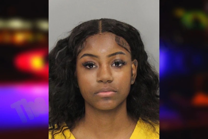 Milahn Alcine Mugshots