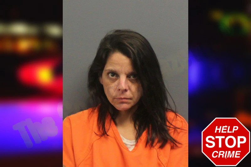 Mindy Collins Mugshots