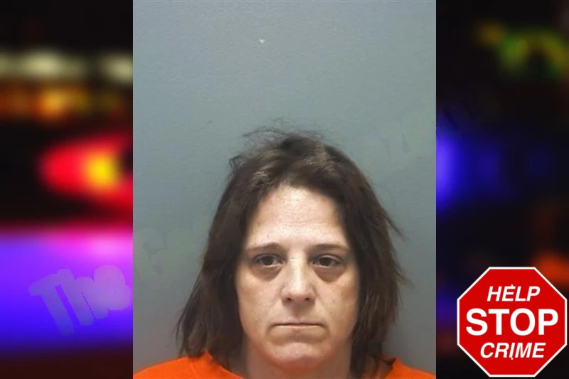 Mindy Skelton mugshot – Cherokee County , Georgia Mindy Skelton mugshot