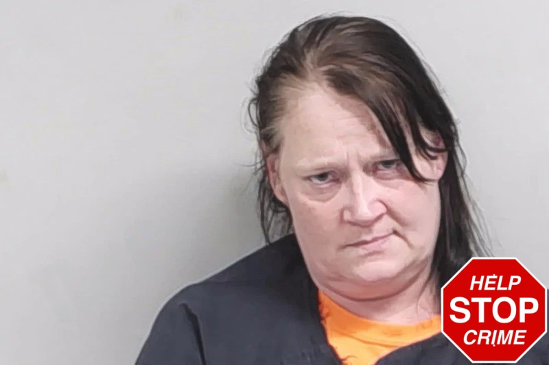 Miranda Bryant Mugshots