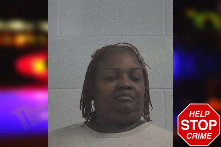 Miranda Lemon mugshot – McDuffie County , Georgia Miranda Lemon