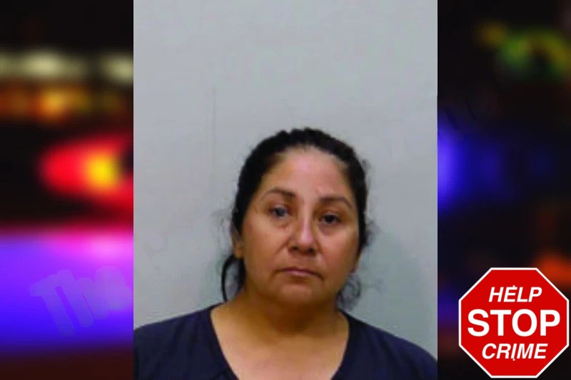 Miranda Minerva mugshot – Bartow County , Georgia Miranda Minerva mugshot