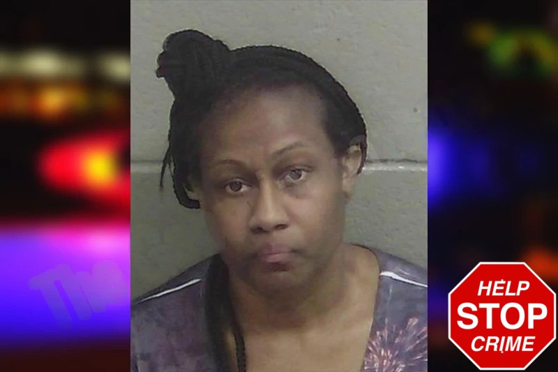 Mischa John mugshot – Wayne County , Georgia Mischa John mugshot