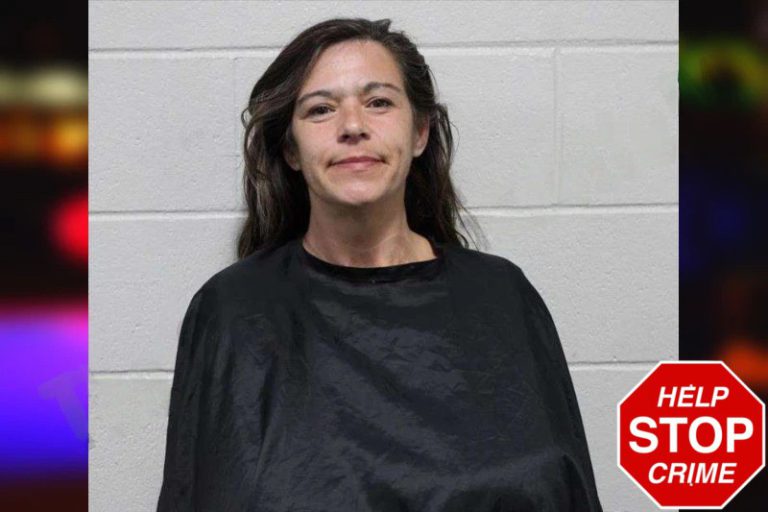 Misty Dobson mugshot – Habersham County , Georgia Misty Dobson