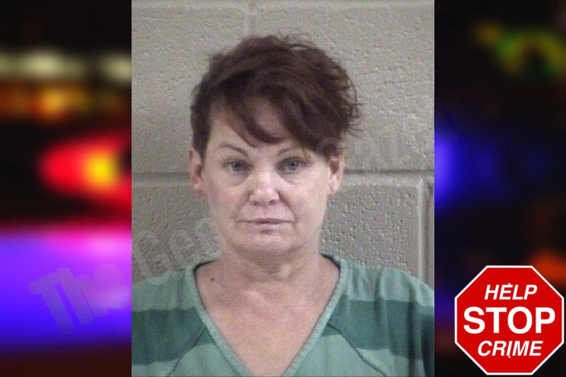 Misty Hawkins Mugshots