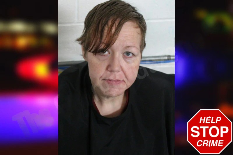 Misty Lopez Malpica mugshot – Floyd County , Georgia Misty Lopez Malpica mugshot