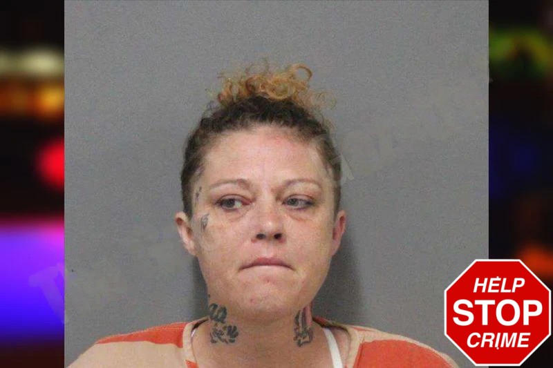 Misty Midgett mugshot