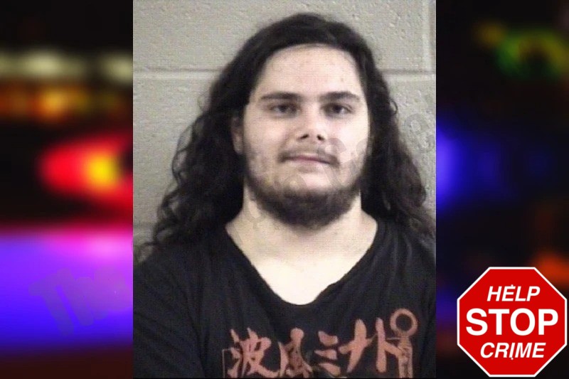 Mitchell Willis Mugshots